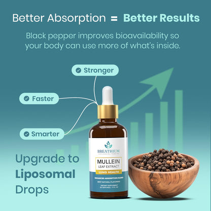 Breathium 4-in-1 Mullein Drops for Lungs & Gut Health – Liposomal Extract