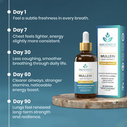 Breathium 4-in-1 Mullein Drops for Lungs & Gut Health – Liposomal Extract