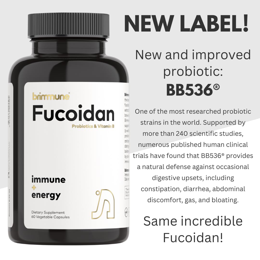 Brimmune Fucoidan 500 mg - Organic Patagonia, BB536 Probiotics | Immune Support (60 capsules)