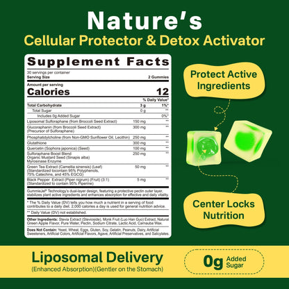 Liposomal Sulforaphane Gummies 150mg | Broccoli Seed Extract, Myrosinase & Quercetin (120 Ct)