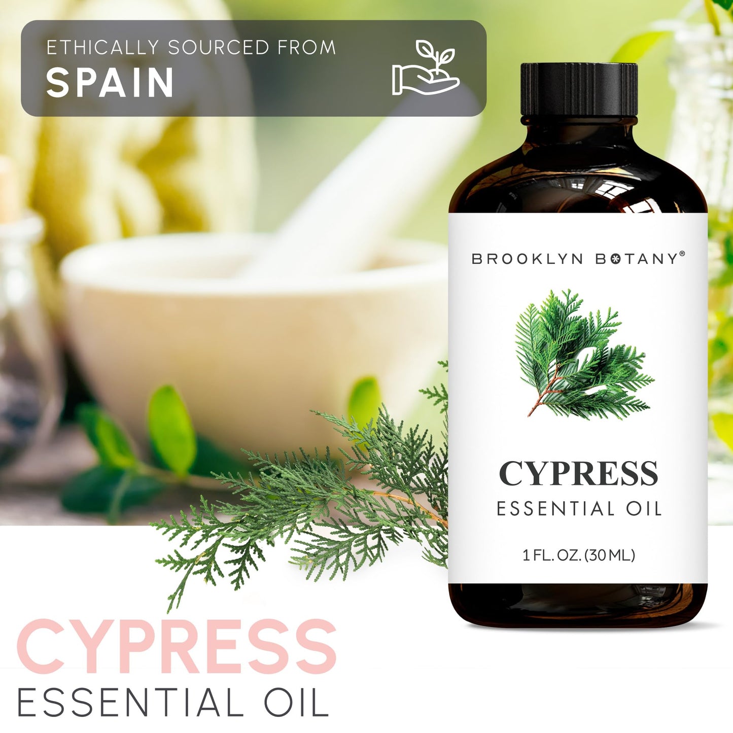 Brooklyn Botany Cypress Essential Oil – 100% Pure & Natural, Premium Grade, 1 Fl Oz