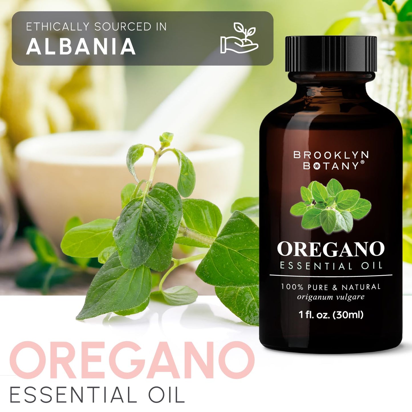 Brooklyn Botany Oregano Essential Oil - 100% Pure & Natural, Premium Grade (1 Fl Oz)