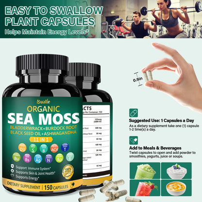 Bualle Irish Sea Moss Capsules – Organic Sea Moss & Black Seed Oil – 150 Capsules