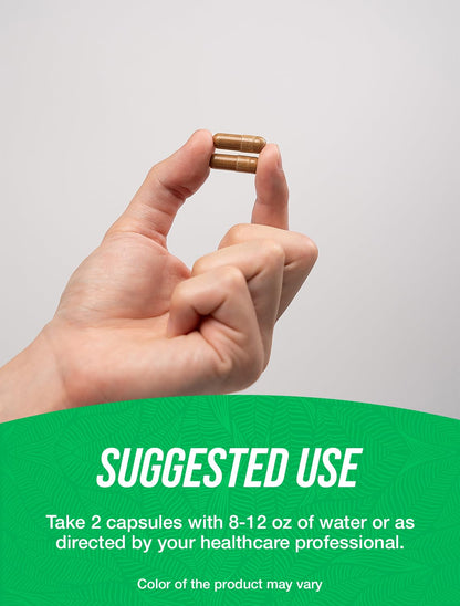 Tongkat Ali Extract Capsules | Longjack Extract Vegan Friendly 120 Veg Capsules | BulkSupplements