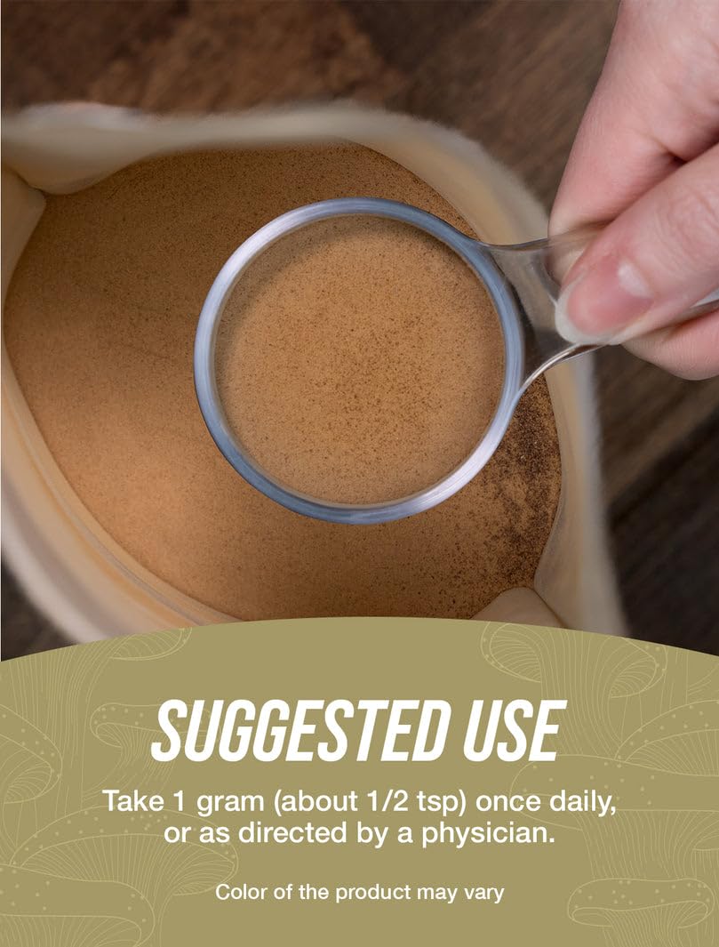 BulkSupplements.com Chaga Mushroom Extract Powder – Gluten Free, 1 g per Serving, 1 kg