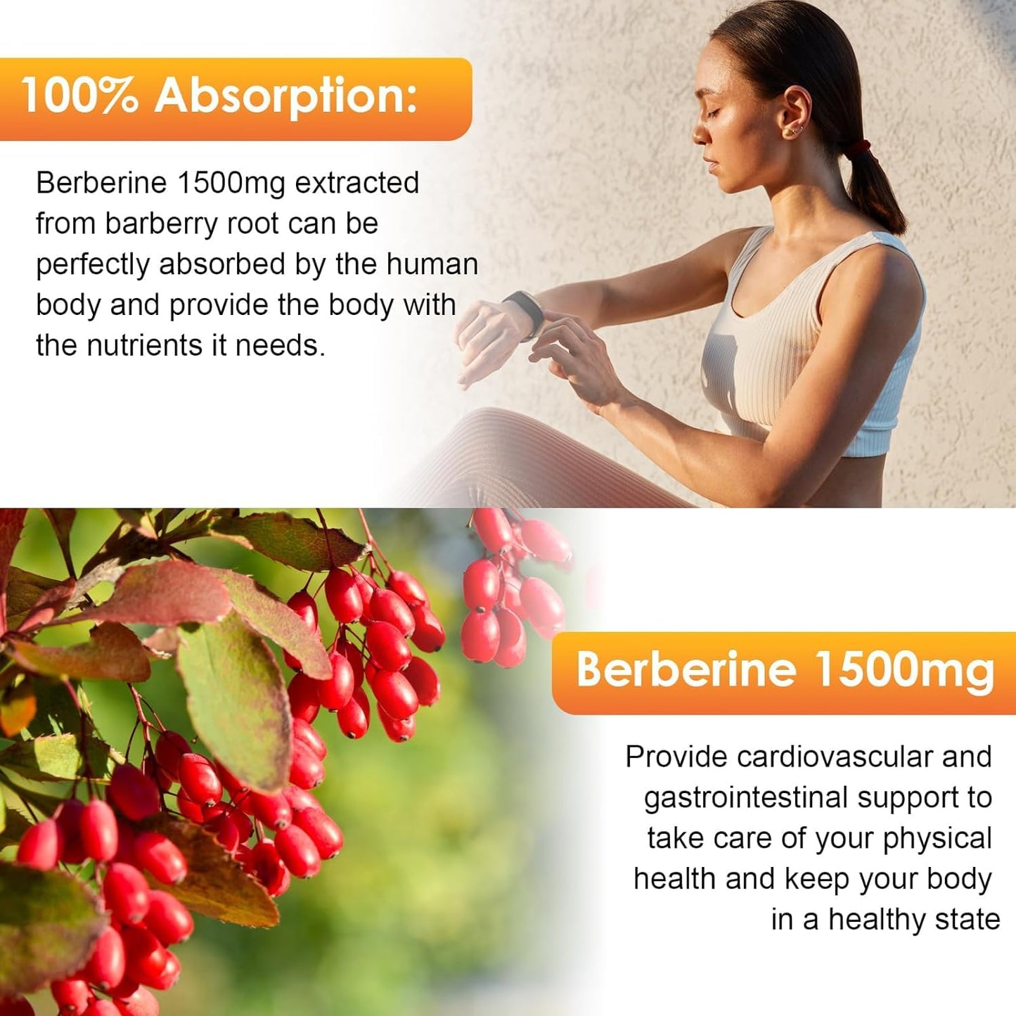 Bunkka Berberine Liquid Drops (2 Pack) – Sugar-Free, Vegan, 4 fl oz | Immune & Digestive Support