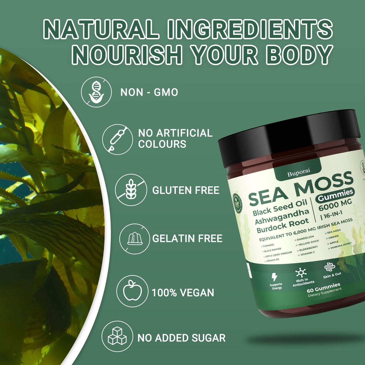 Buporai Sea Moss Gummies 16-In-1 – Bladderwrack, Ashwagandha & Turmeric | Immune Support, 60 Gummies