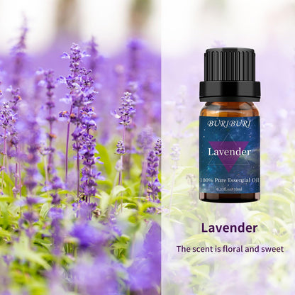 BURIBURI Eucalyptus & Lavender Essential Oil Set 2 Pack – 100% Pure