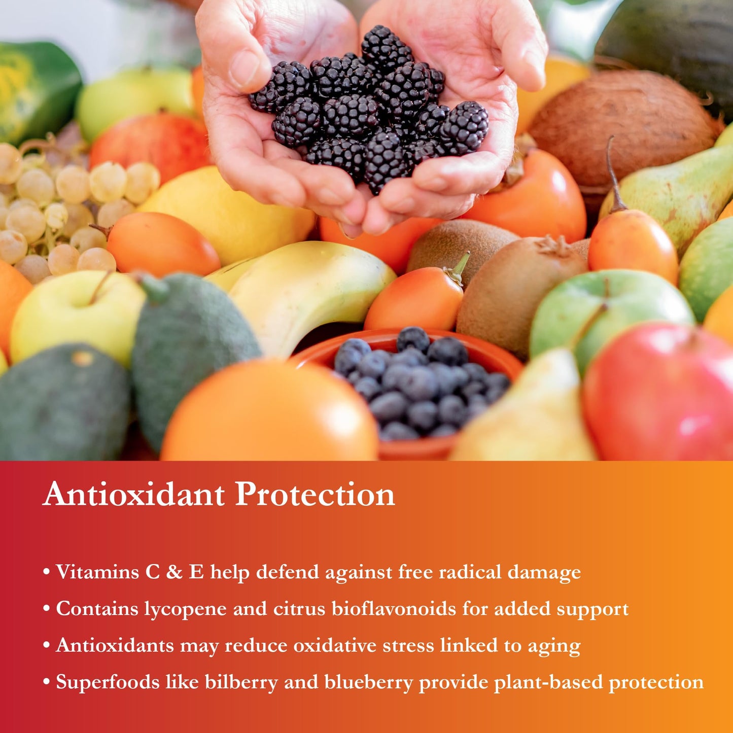Buried Treasure Active 55 Plus - Liquid Multivitamin for Seniors | 32 Serv | Vegan & Sugar-Free | Immune Support
