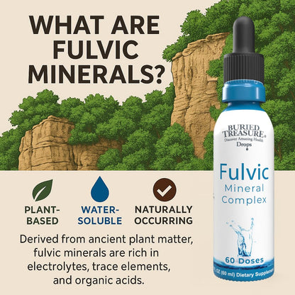 Buried Treasure Fulvic Mineral Drops – 295mg Trace Minerals, Ionic Fulvic Acid (2 fl oz, Pack of 2)