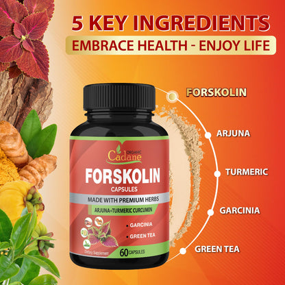 Cadane Forskolin Capsules – 2 Packs with Turmeric, Arjuna, Garcinia Cambogia & Green Tea | 4 Months Supply