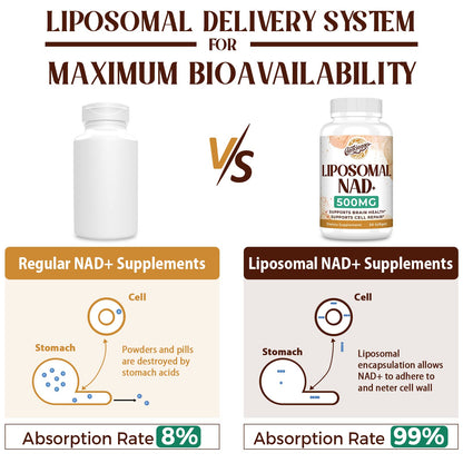 Caenciennes Liposomal NAD+ 500 mg — True NAD+ with Superior Absorption