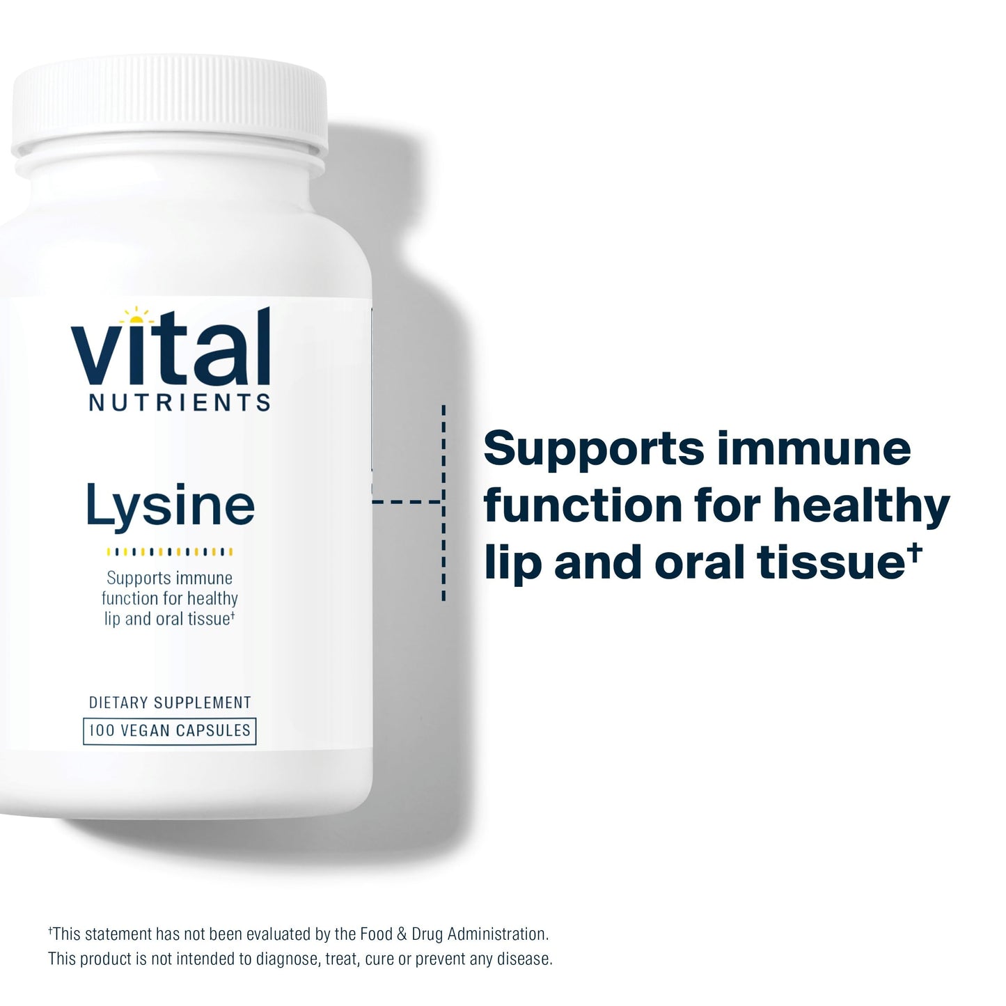 Vital Nutrients Lysine | Immune Support & Lip/Oral Tissue Health | 100 Capsules (Pack of 2)