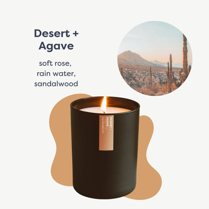 Calyan Wax Co Desert & Agave Candle - 75 Hr Burn | Non-Toxic Soy