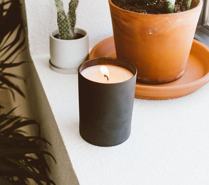 Calyan Wax Co. Vetiver & Tonka Candle - 75 Hour Burn | 10.2oz