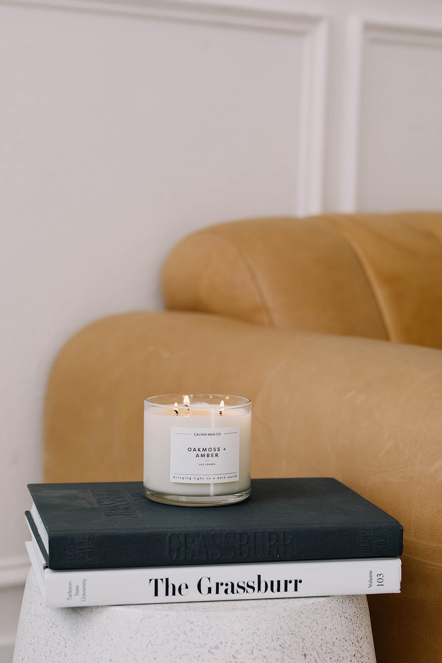 Calyan Wax Co. Aspen & Fog 3 Wick Scented Candle – 43 Hour Burn | Non-Toxic Soy Wax 14.9oz