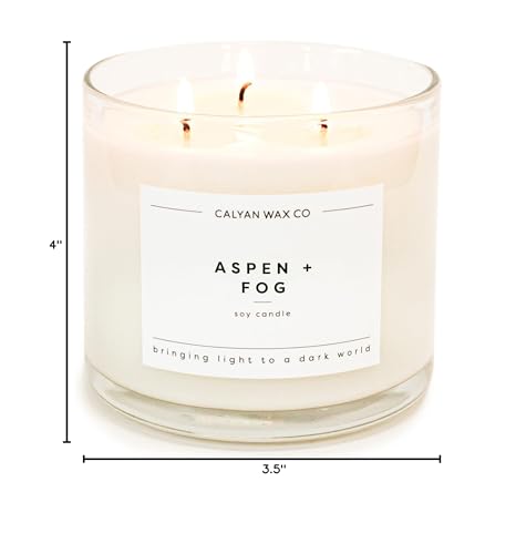 Calyan Wax Co. Aspen & Fog 3 Wick Scented Candle – 43 Hour Burn | Non-Toxic Soy Wax 14.9oz