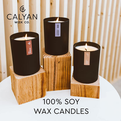 Calyan Wax Co. Home & Holiday Candle – 75-Hour Non-Toxic Soy, 10.2oz