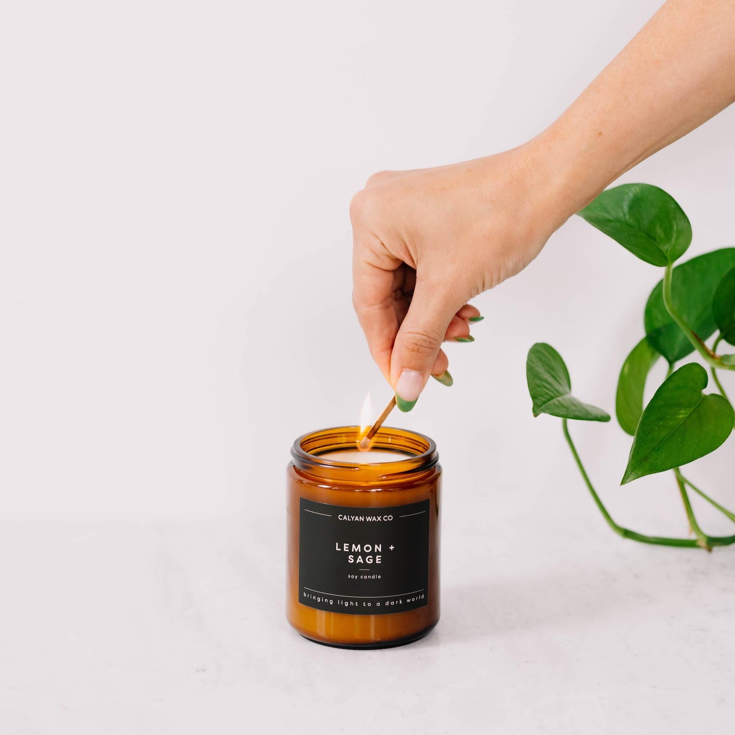 Calyan Wax Co. Musk & Teakwood Candle | 57-Hour Burn, Non-Toxic Soy, Amber Glass Jar 7.2oz