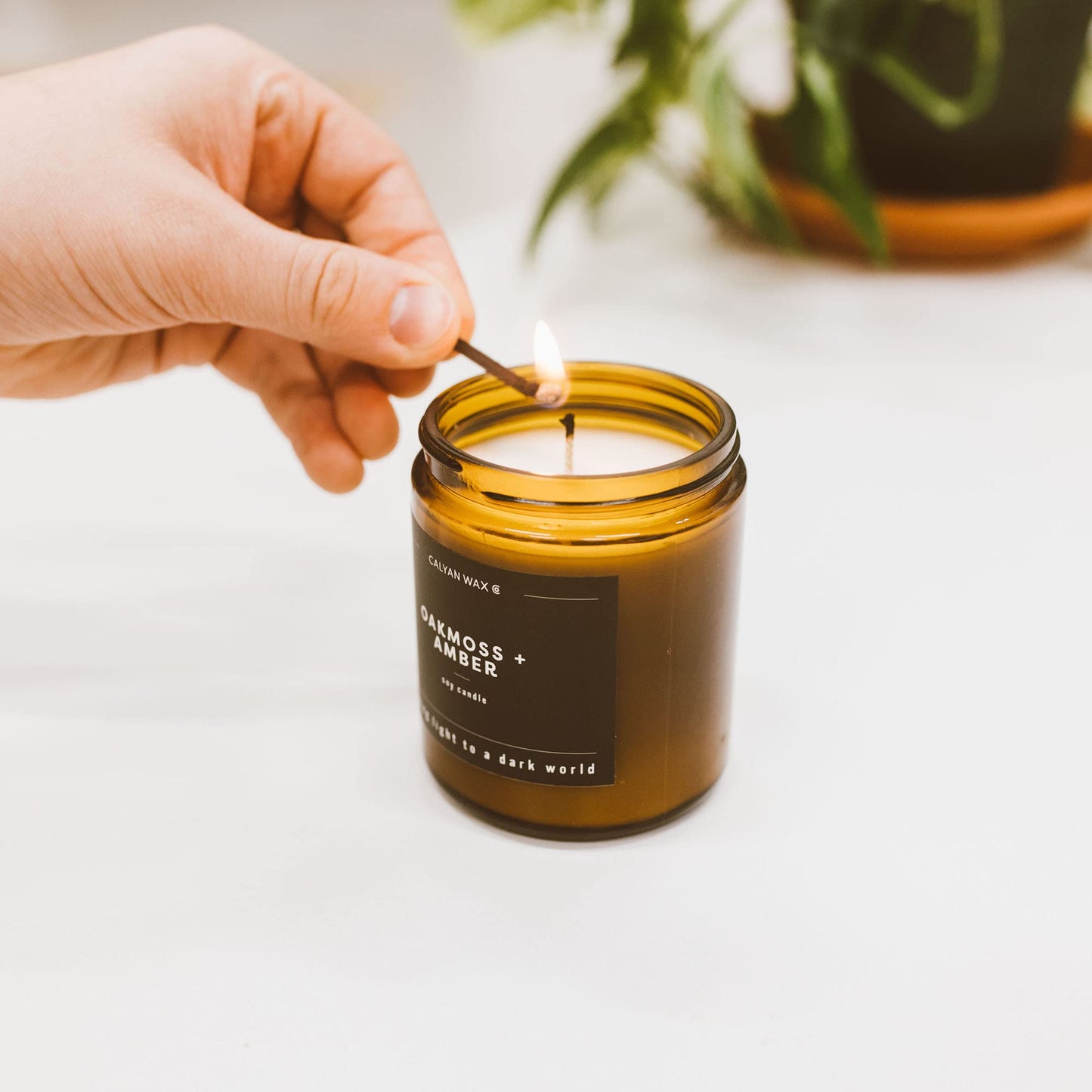 Calyan Wax Co. Redwood & Vanilla Soy Candle – 57 Hr Burn | 7.2oz Amber Jar