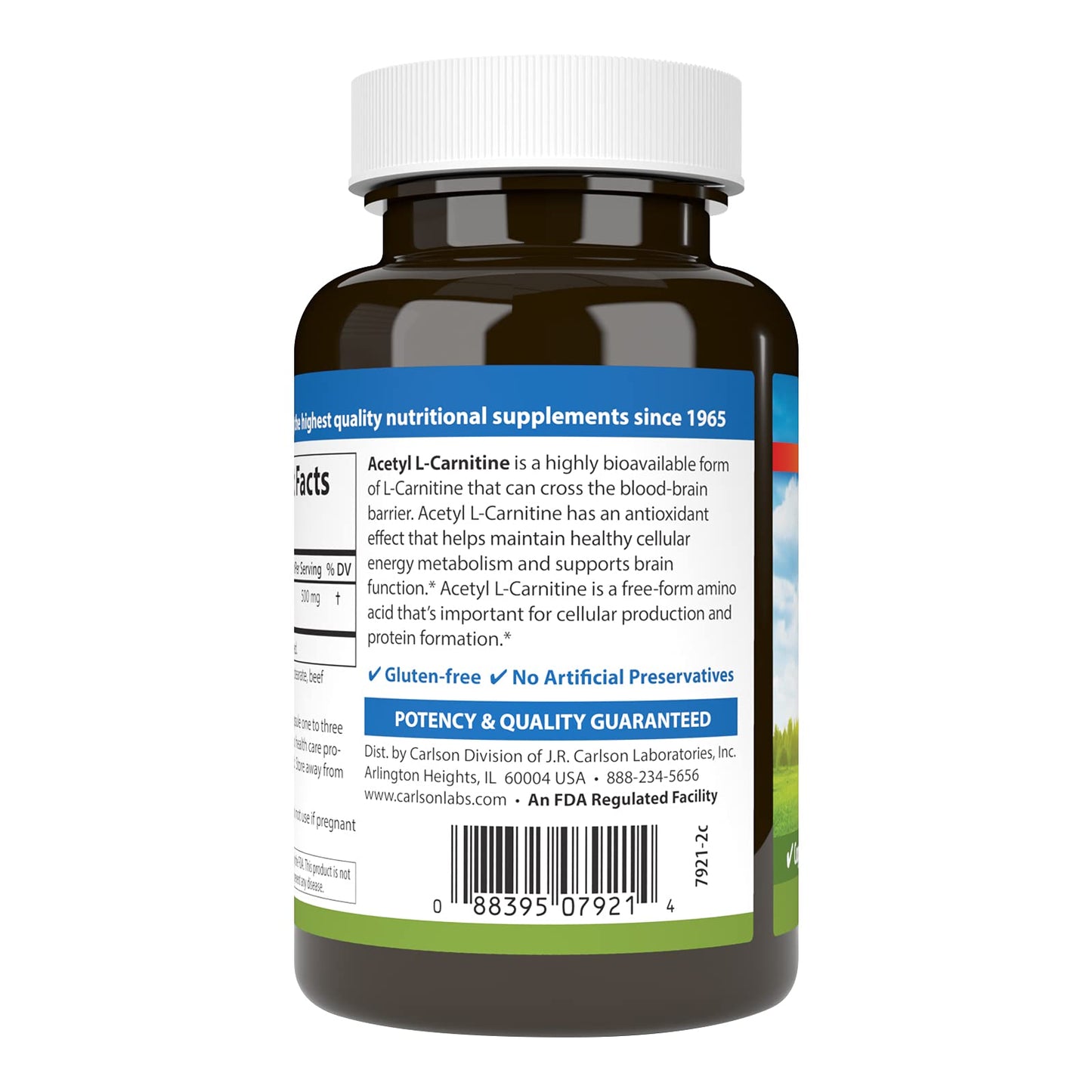Carlson Acetyl L-Carnitine 500 mg – Cognitive Health, Brain Function & Energy | 120 Capsules