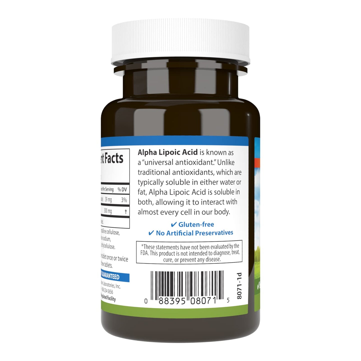 Carlson Alpha Lipoic Acid 300 mg – 90 Tablets | Energy & Antioxidant Support