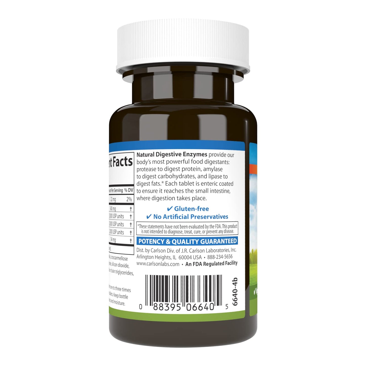 Carlson Natural Digestive Enzymes – Protease, Amylase & Lipase Digestive Aid, 50 Tablets (Pack of 2)