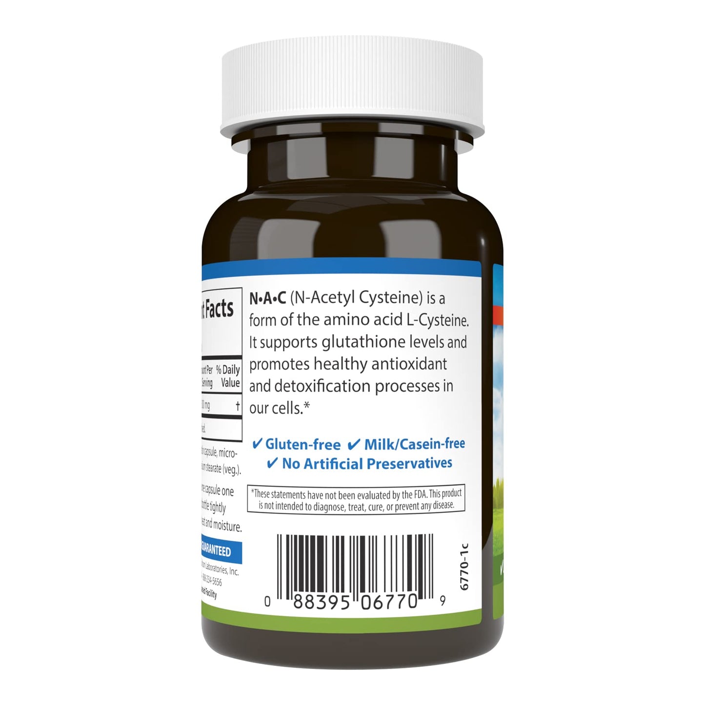 Carlson Labs NAC N-Acetyl Cysteine 500mg – 60 Capsules (Pack of 2)