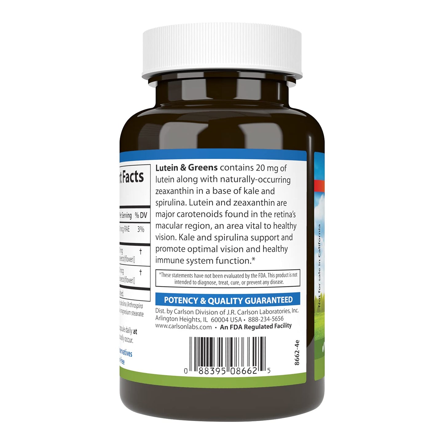 Carlson Lutein & Greens 20 mg - Vision Support & Eye Function - 180 Vegetarian Capsules