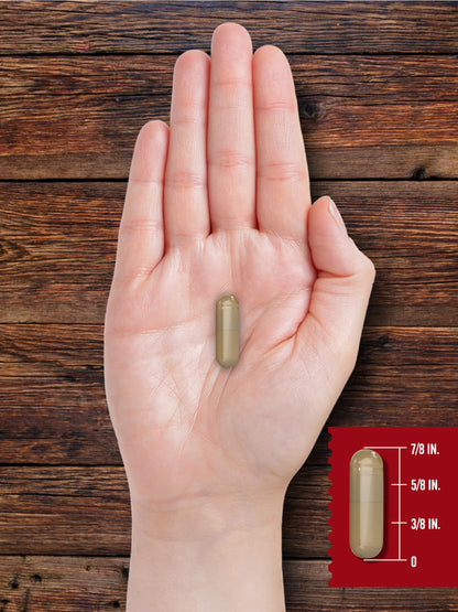 Carlyle Grass Fed Beef Organ Complex - 200 Capsules | Pasture Raised, Non-GMO | Herbage Farmstead