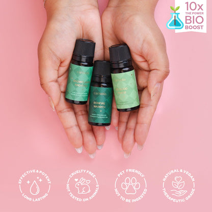 Carnatia Christmas Aroma Oil Set – 6 Cozy Scents for Diffusers, Relaxation & Holiday Gifting