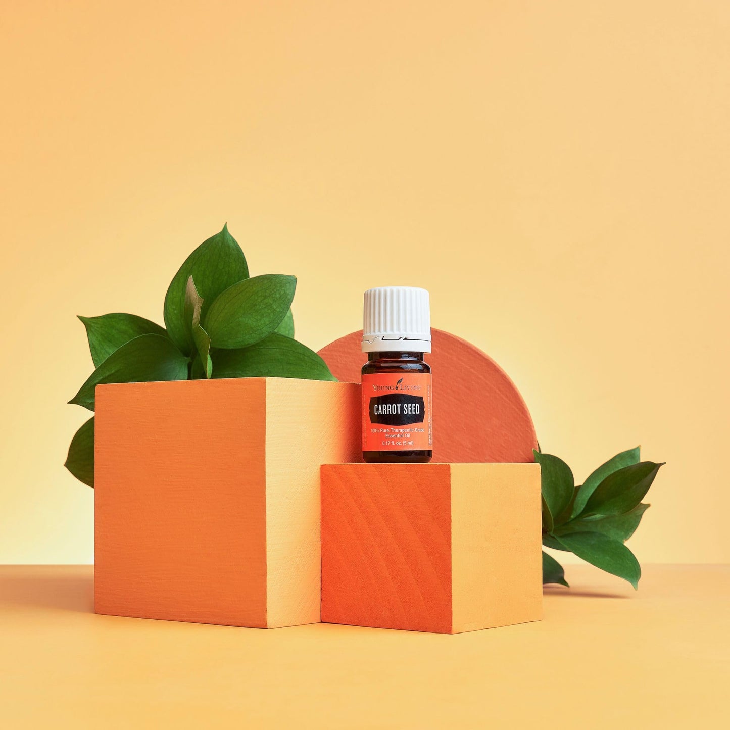 Young Living Carrot Seed Essential Oil 5 ml | Dry Skin Moisturizer, Beautifying & Skin Cleansing