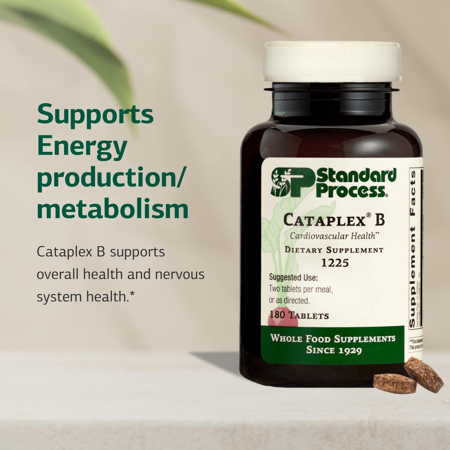 Cataplex B by Standard Process – Nervous System & Heart Health | Energy & Metabolism | 180 Tablets