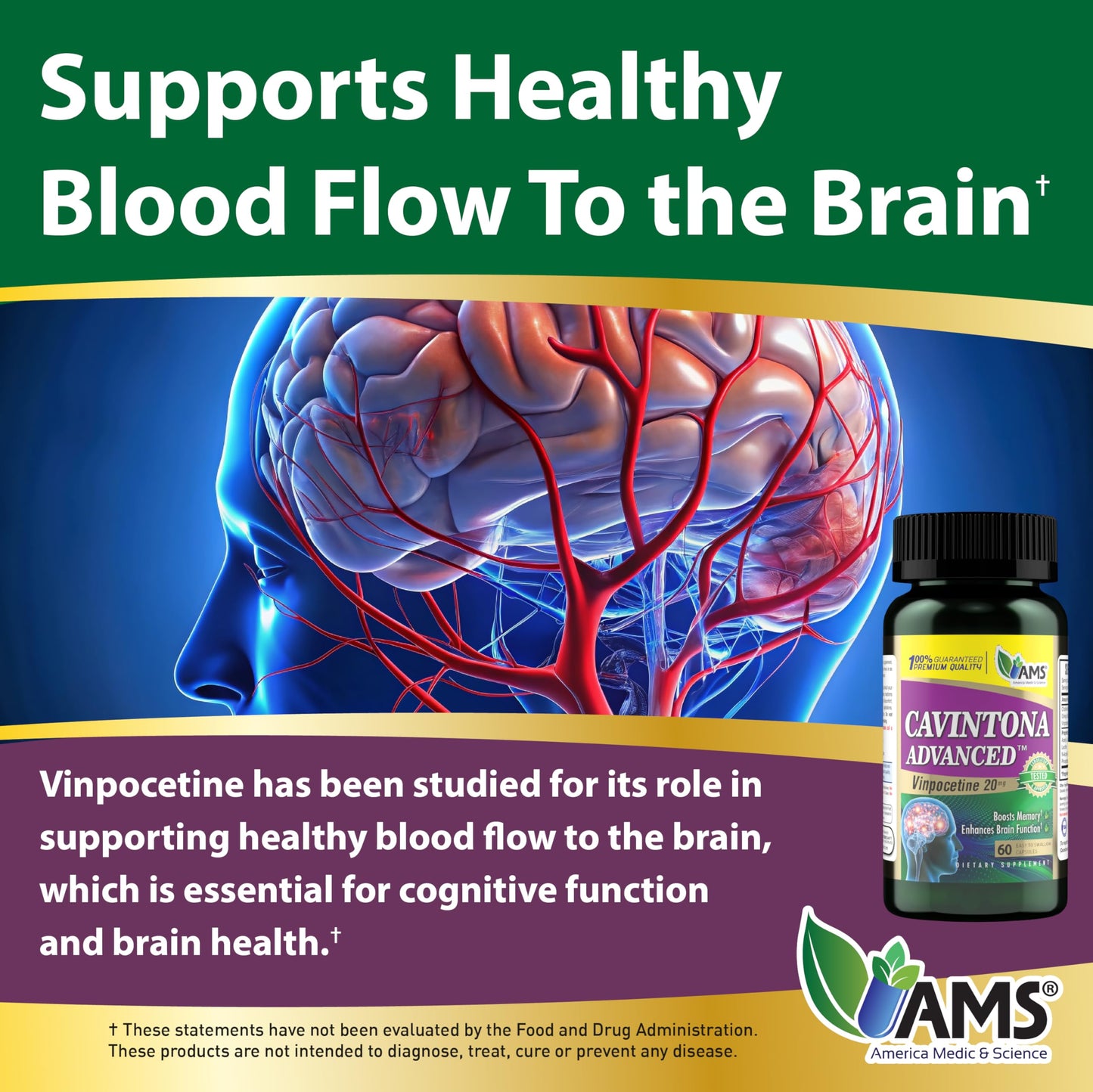 America Medic & Science Cavintona Vinpocetine 20mg – 60 Capsules | Memory, Focus & Brain Health