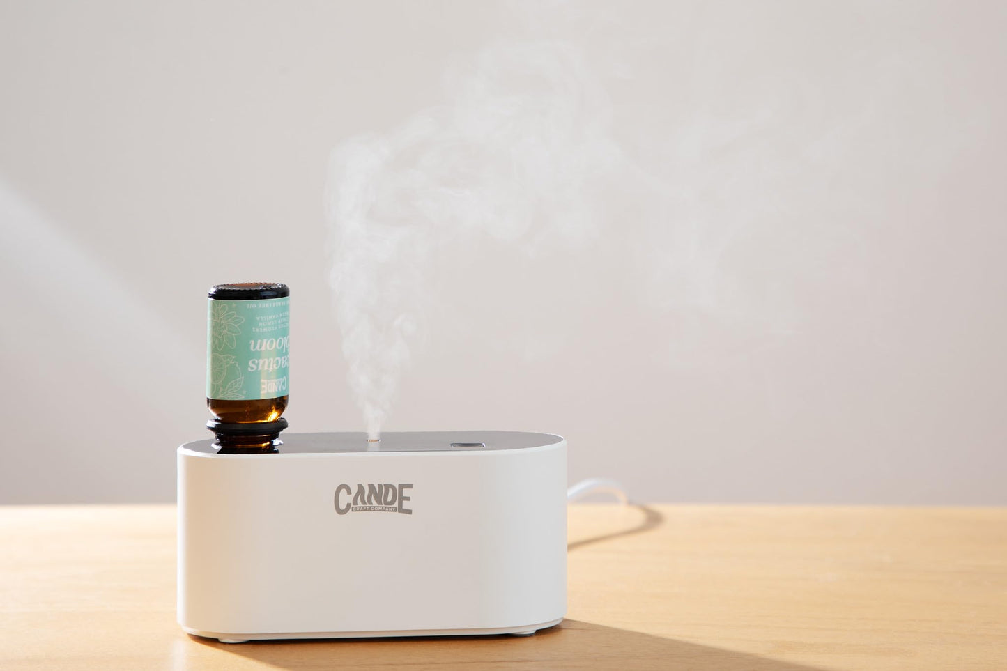 CE CRAFT Waterless Travel Diffuser Gift Set – Rechargeable, 3 Fragrance Oils, Office & Home