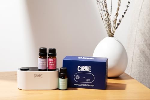 CE CRAFT Waterless Travel Diffuser Gift Set – Rechargeable, 3 Fragrance Oils, Office & Home