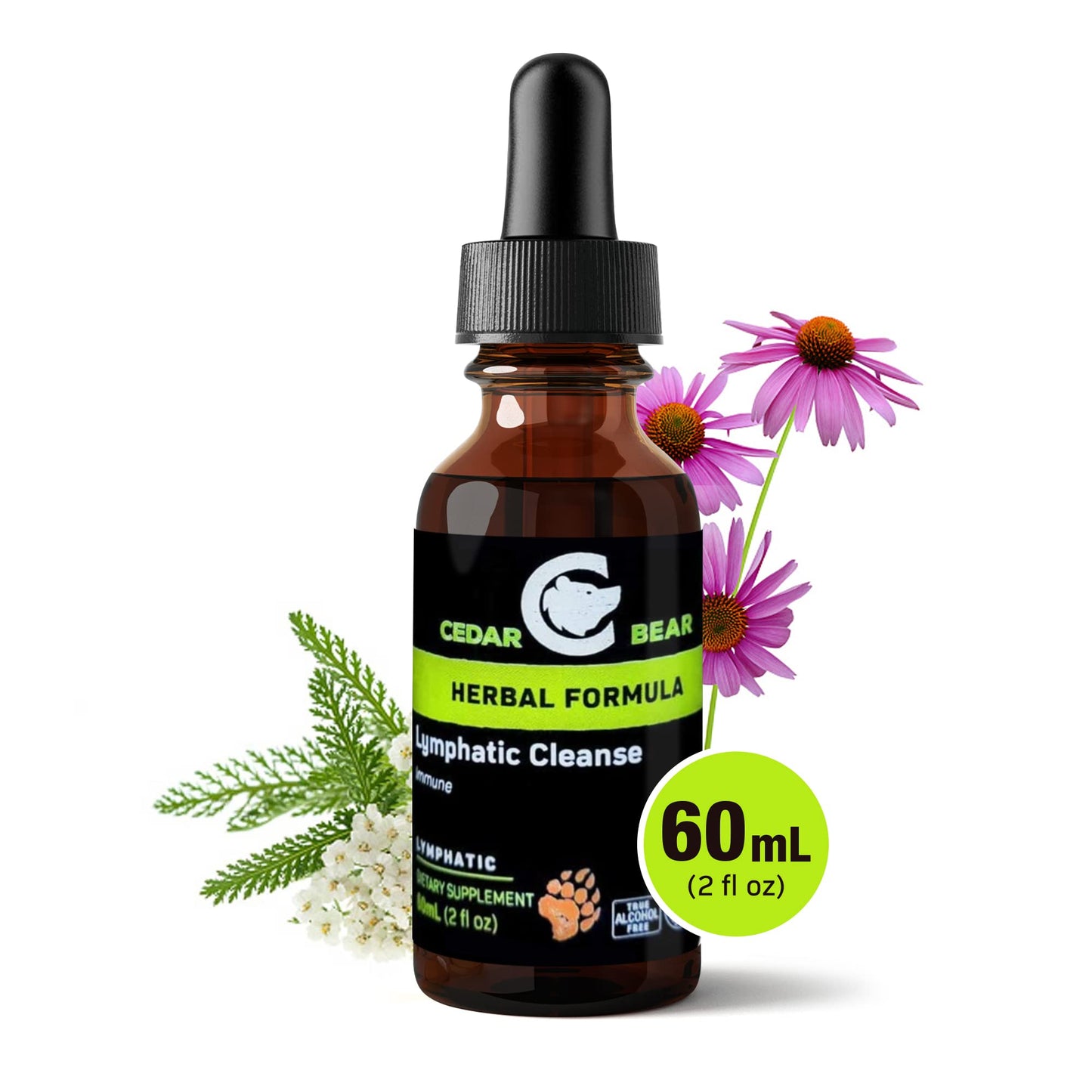 Cedar Bear Lymphatic Cleanse – Immune Support Drops (Alcohol-Free, 2 fl oz)