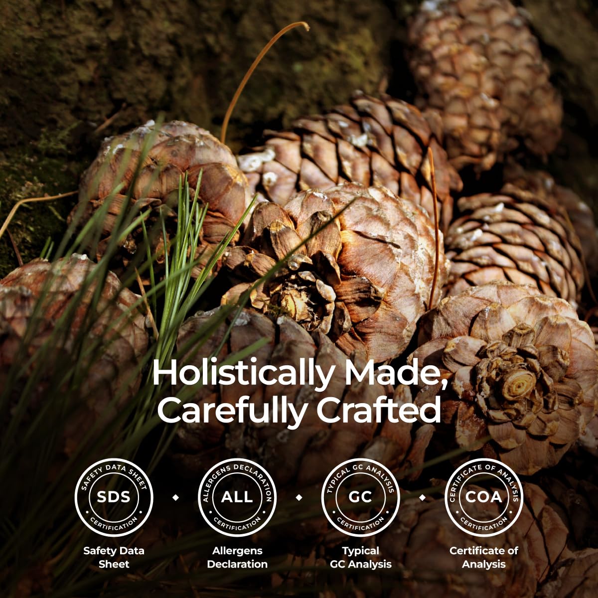 Gya Labs Organic Cedarwood Essential Oil 0.34 fl oz | Skin, Hair, Diffuser & DIY Candles