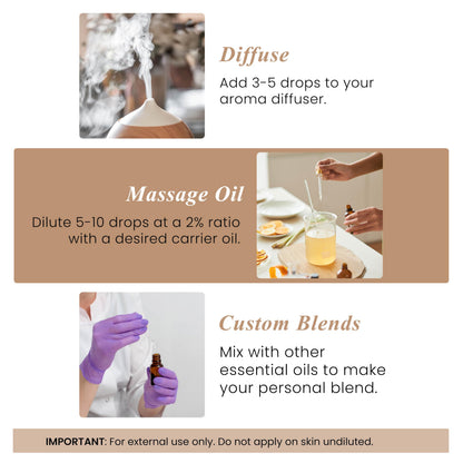 Handcraft Blends Cedarwood Essential Oil – 1 Fl Oz | 100% Pure & Natural