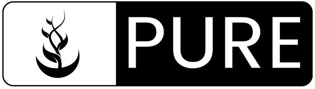 Pure Celery Seed Capsules (365) – No Magnesium Or Rice Fillers | Lab Verified