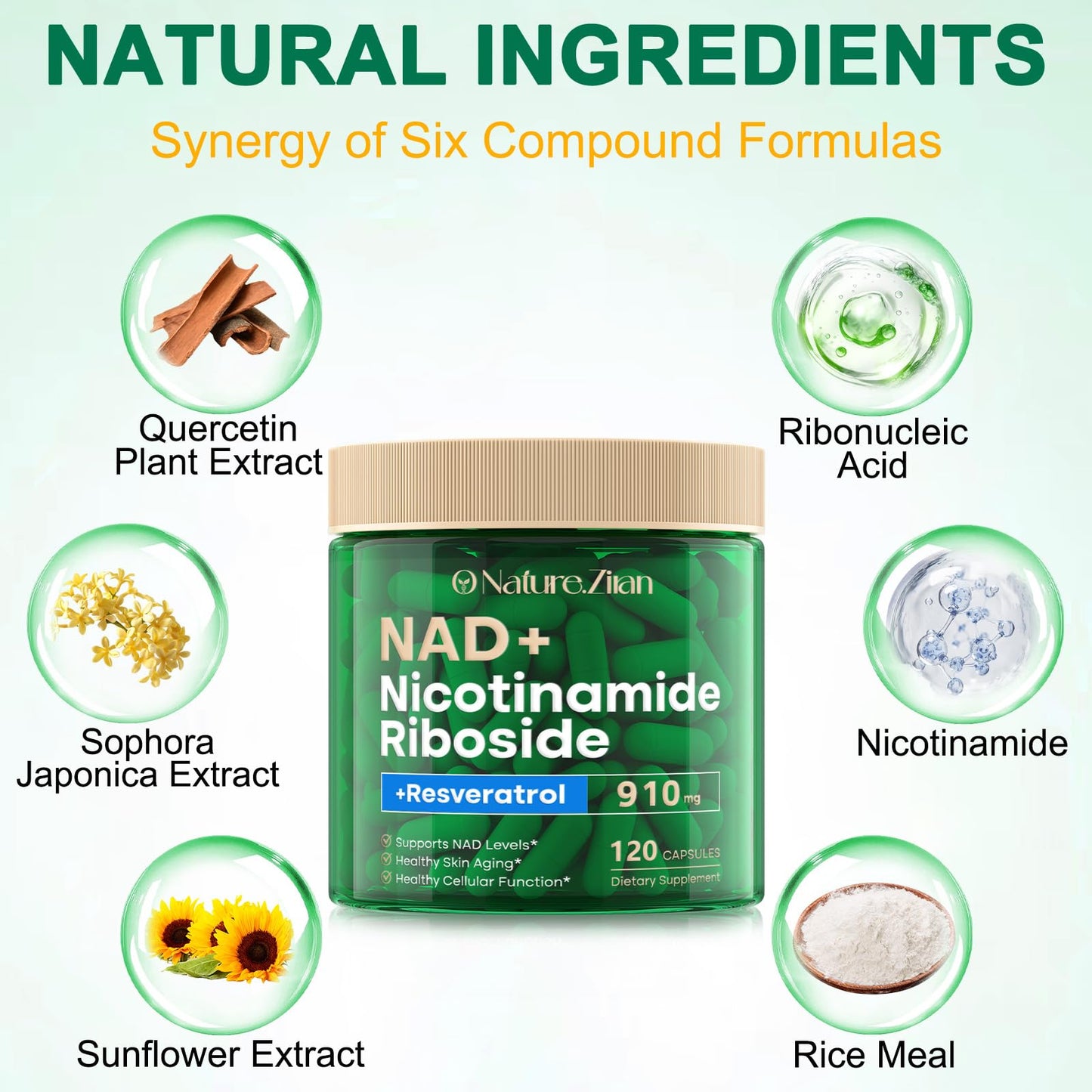 NAD+ Supplement 120 Capsules – Liposomal NR, Resveratrol & Quercetin | Anti-Aging & Cellular Regeneration