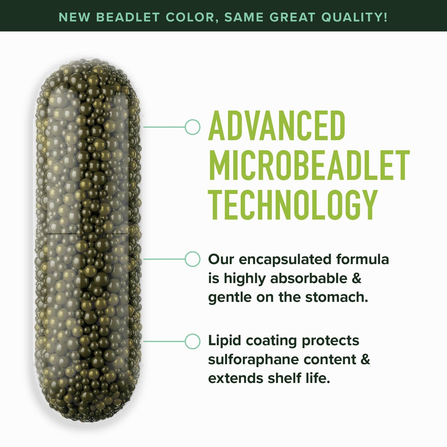 SMNutrition 50MG Sulforaphane Supplement from Broccoli Sprouts | NRF2 Activation & Immune Support