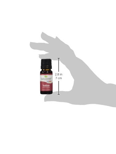 Plant Therapy Vetiver Essential Oil - 100% Pure, Therapeutic Grade, 10 mL