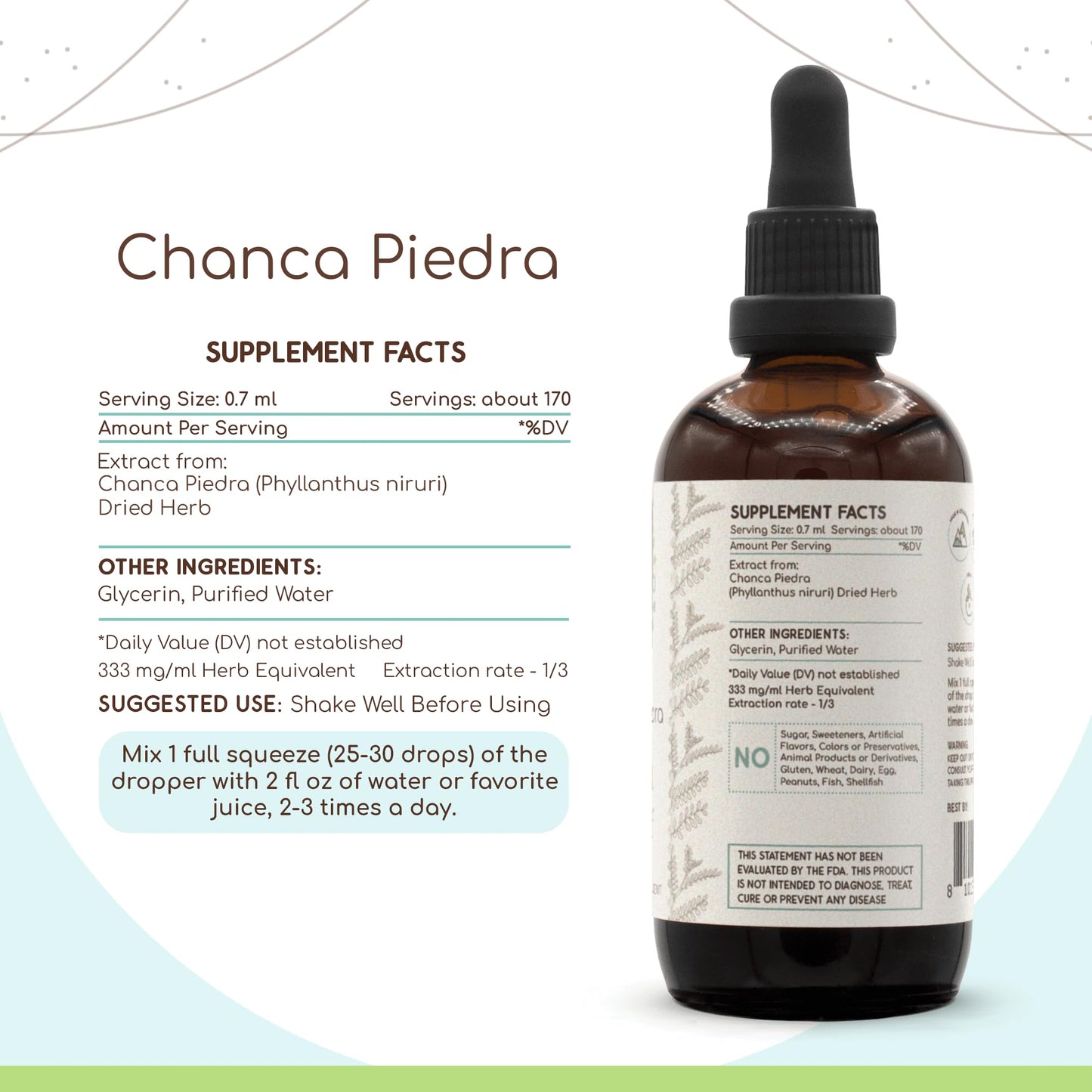 Chanca Piedra B120 Alcohol-Free Herbal Extract Tincture – 4 fl oz | Phyllanthus niruri