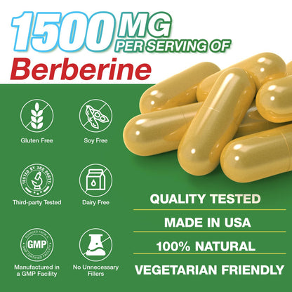 CHANUBITO Berberine 1500mg HCl 97% Purity – Premium 2-Pack, Non-GMO Vegan