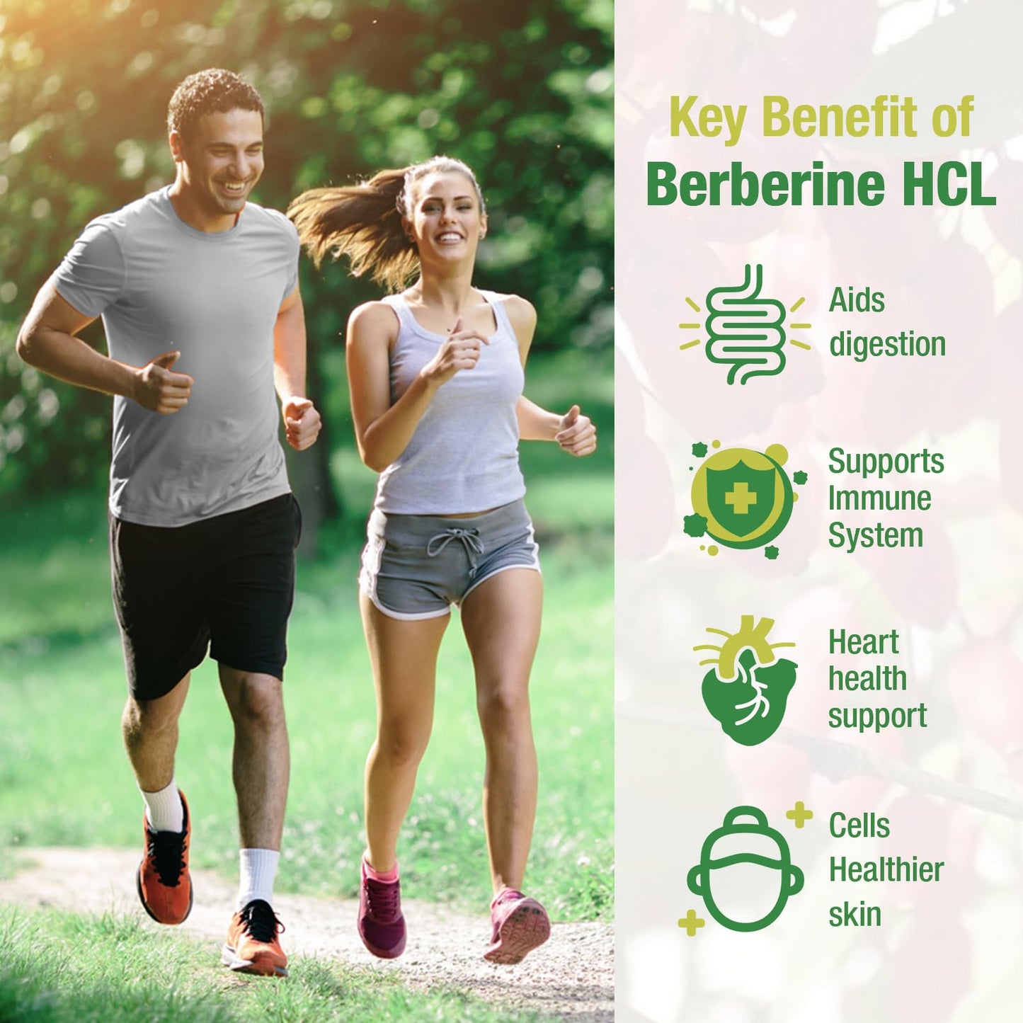 CHANUBITO 4-Pack Organic Berberine Supplement – High Potency Berberine HCl, Non-GMO