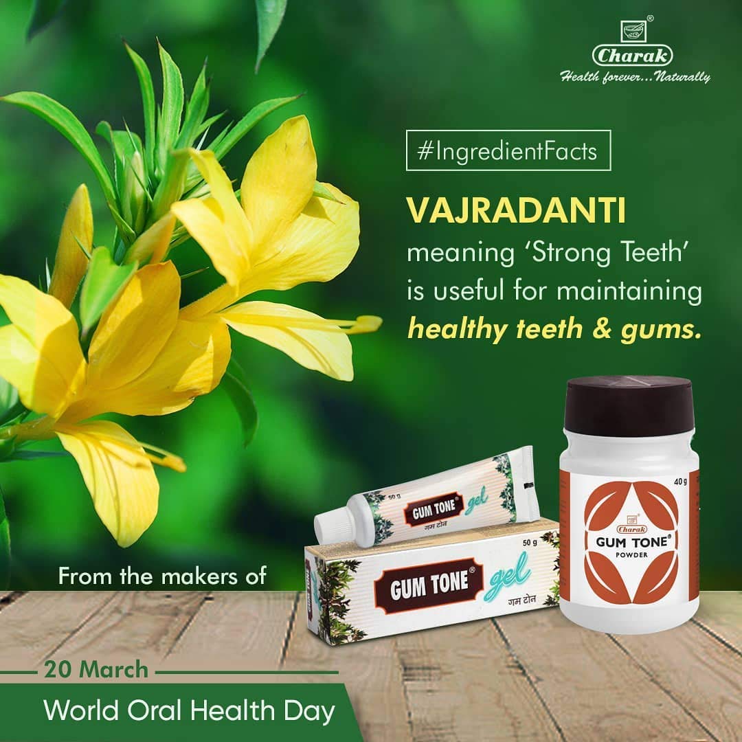 Charak Gum Tone Powder 40g – Gum Care Powder