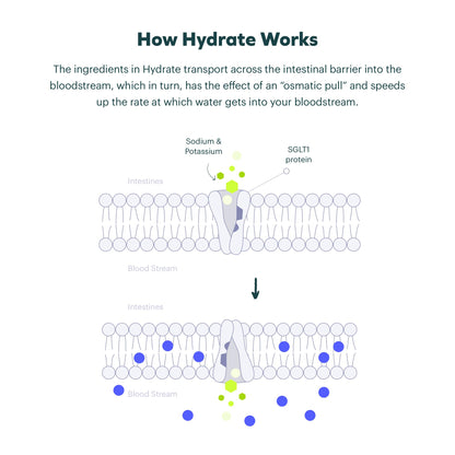 Cheers Classic Combo | Restore + Hydrate After Drinking | DHM, Electrolytes, B-Vitamins | 12 Doses Each