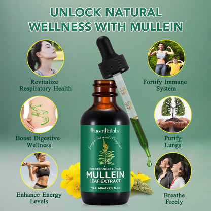 Mullein Drops for Lungs – Natural Leaf Extract & Chlorophyll (2 oz)