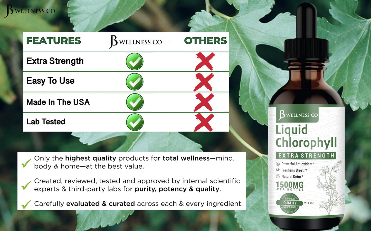 [2-Pack] Liquid Chlorophyll Drops – All-Natural Concentrate for Immune Support, Energy & Digestion | Mulberry Leaves - 240 Servings